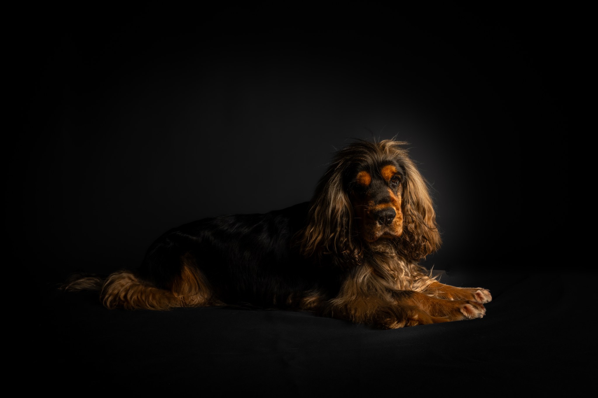 Bennie