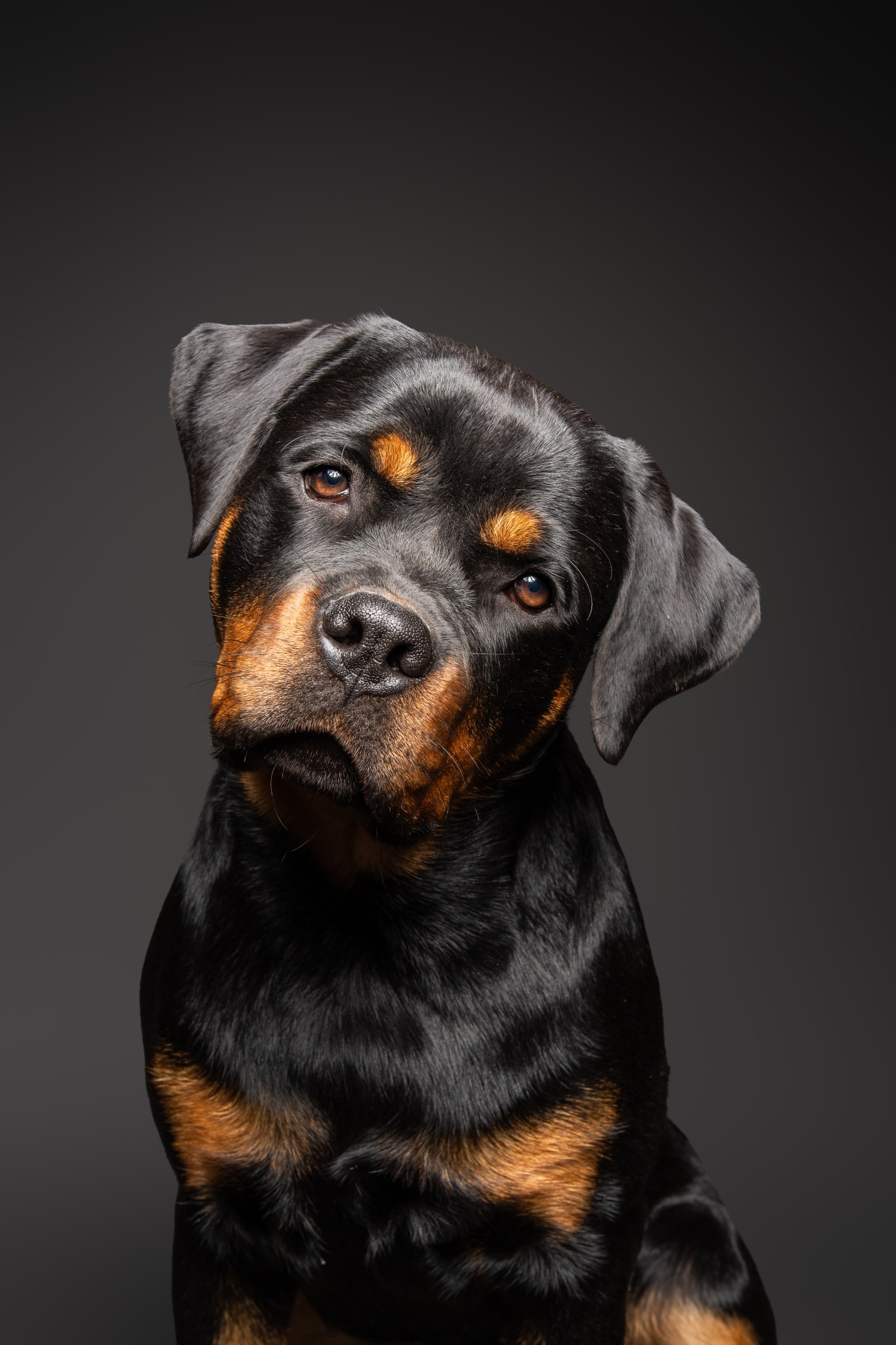 Odin