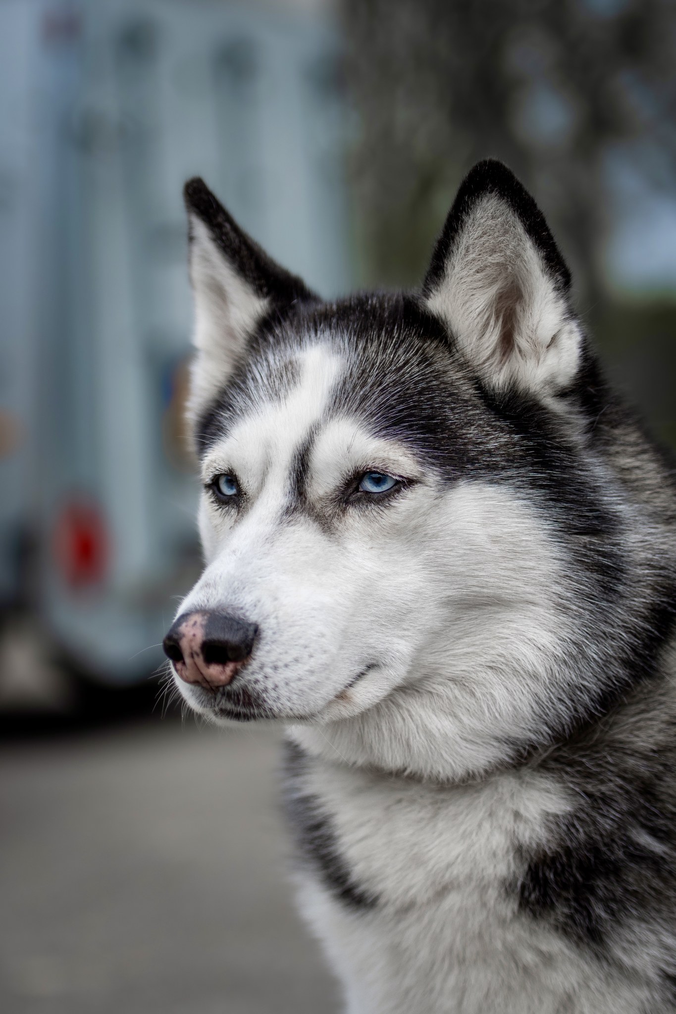 Luna
