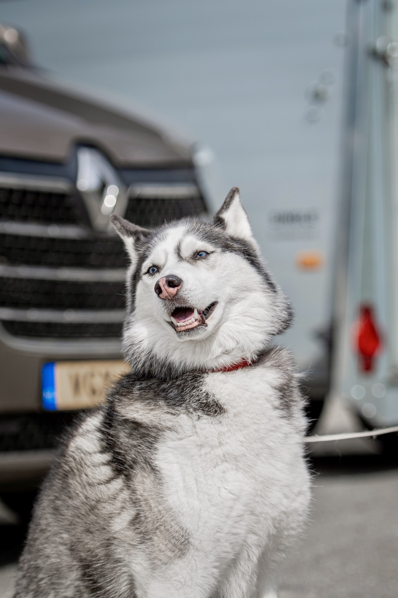 Luna