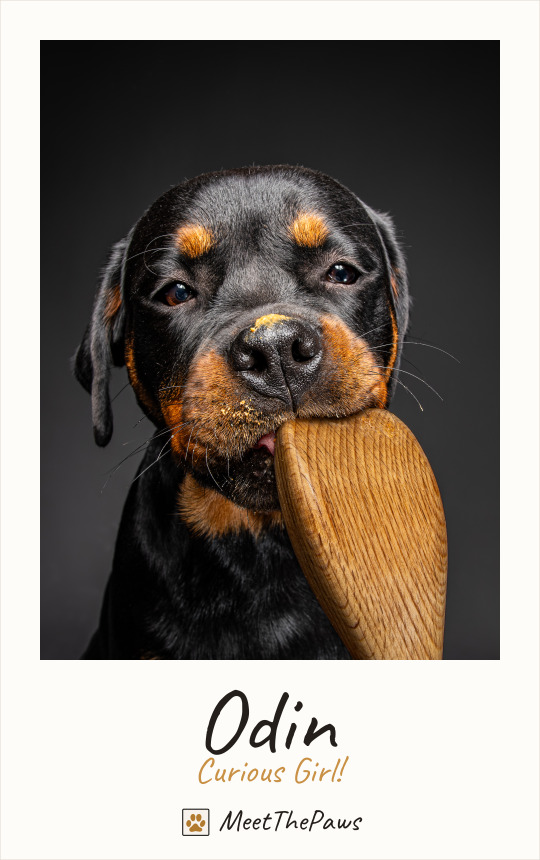 Odin